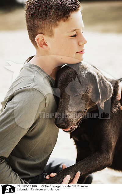 Labrador Retriever und Junge / NP-03180