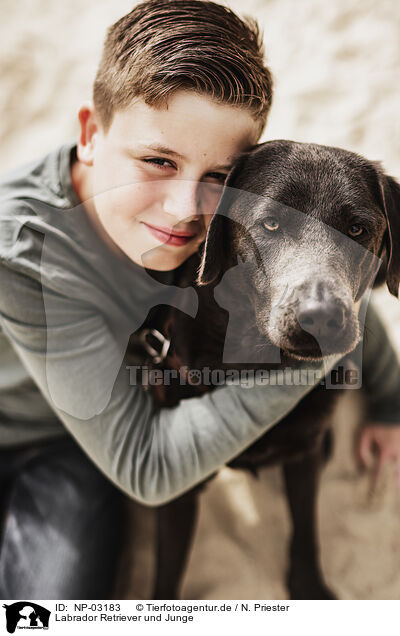 Labrador Retriever und Junge / NP-03183