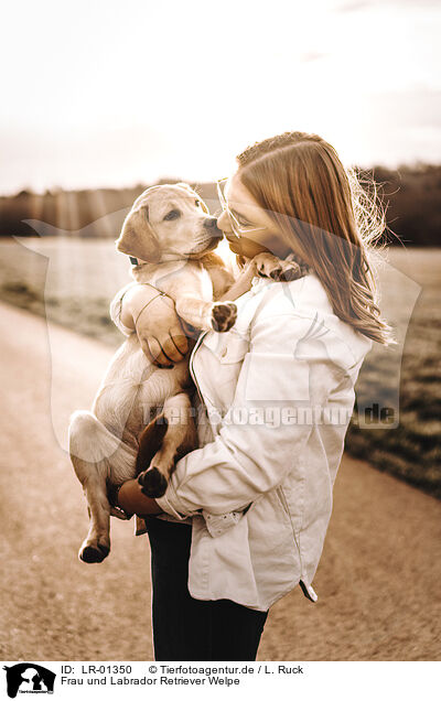 Frau und Labrador Retriever Welpe / LR-01350