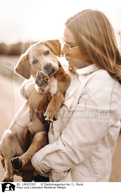 Frau und Labrador Retriever Welpe / LR-01351