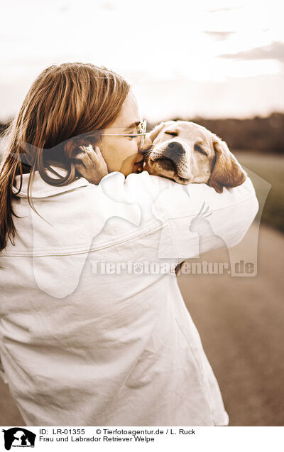 Frau und Labrador Retriever Welpe / woman and Labrador Retriever Puppy / LR-01355