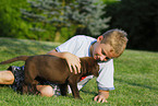 Junge und Labrador Retriever Welpe