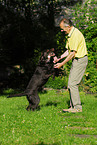 Mann und Labrador Retriever