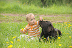 Kind und Labrador Retriever