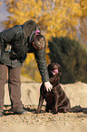 Frau und Labrador Retriever