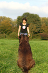 sitzender Labrador Retriever