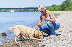 Frau mit Labrador Retriever