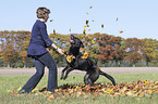 Frau mit Labrador Retriever