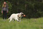 Frau mit Labrador Retriever