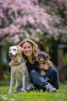Frau und 2 Hunde