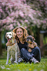 Frau und 2 Hunde