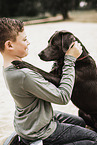 Labrador Retriever und Junge