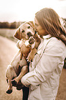 Frau und Labrador Retriever Welpe