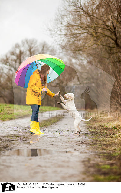 Frau und Lagotto Romagnolo / woman and Lagotto Romagnolo / JAM-01515