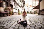 liegender Lagotto Romagnolo