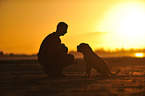 Mensch und Leavitt Bulldogge