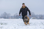 junger Leonberger im Schnee