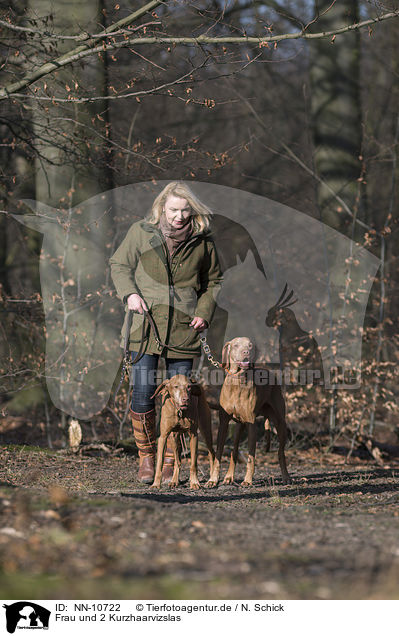 Frau und 2 Kurzhaarvizslas / woman and 2 shorthaired Magyar Vizslas / NN-10722