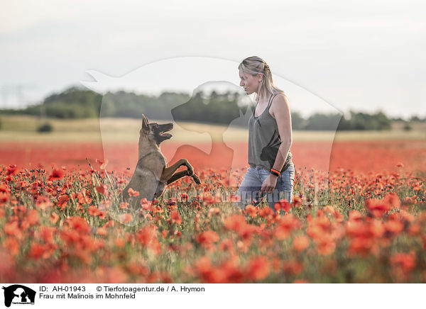 Frau mit Malinois im Mohnfeld / AH-01943