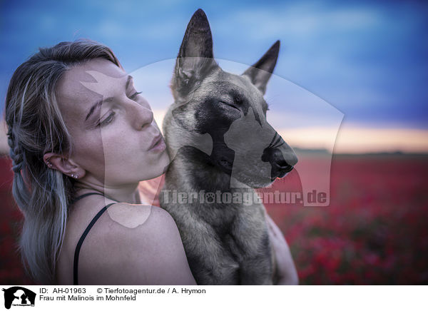 Frau mit Malinois im Mohnfeld / AH-01963