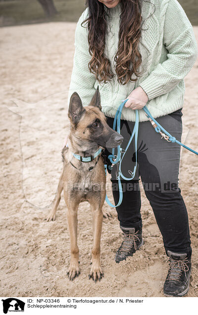 Schleppleinentraining / towrope training / NP-03346