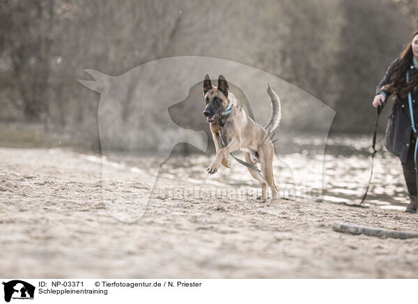 Schleppleinentraining / towrope training / NP-03371