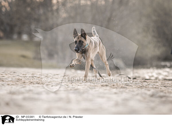 Schleppleinentraining / towrope training / NP-03381