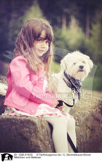 Mdchen und Malteser / girl and Maltese / CDE-01835