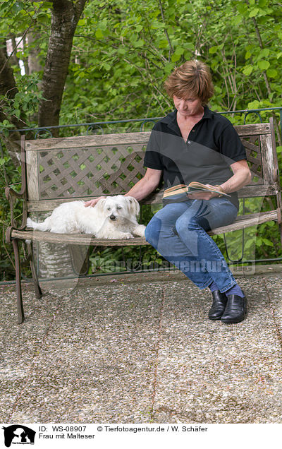 Frau mit Malteser / woman with Maltese / WS-08907