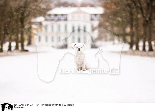 Malteser / JAM-05493