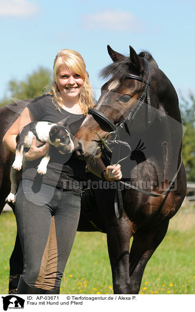 Frau mit Hund und Pferd / woman with dog and horse / AP-03671