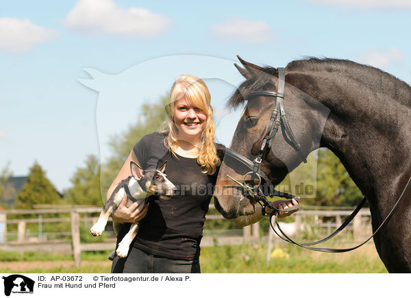 Frau mit Hund und Pferd / woman with dog and horse / AP-03672