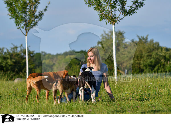 Frau mit 3 Hunden / woman with 3 Dogs / YJ-15962