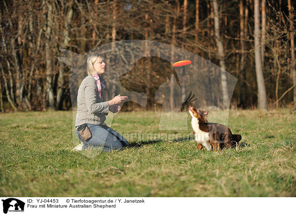 Frau mit Miniature Australian Shepherd / woman with Miniature Australian Shepherd / YJ-04453