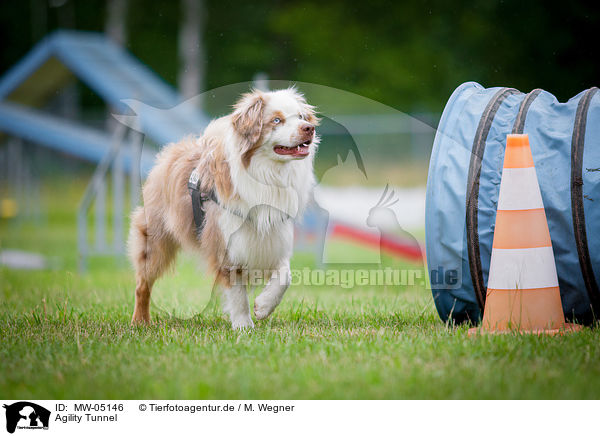 Agility Tunnel / Agility Tunnel / MW-05146