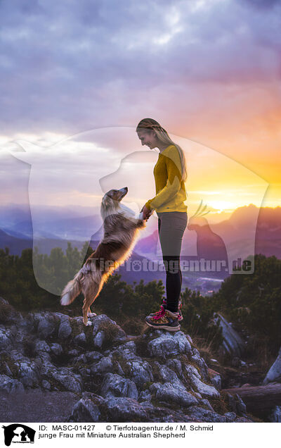 junge Frau mit Miniature Australian Shepherd / MASC-01427