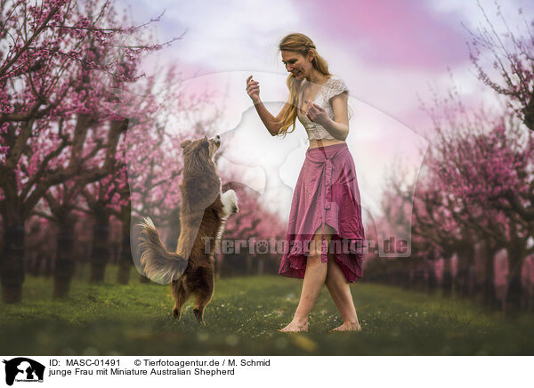 junge Frau mit Miniature Australian Shepherd / MASC-01491