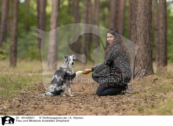 Frau und Miniature Australian Shepherd / woman and Miniature Australian Shepherd / AH-06801
