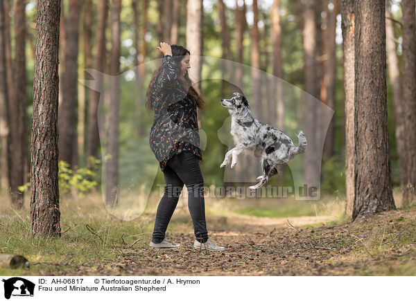 Frau und Miniature Australian Shepherd / woman and Miniature Australian Shepherd / AH-06817