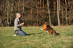 Frau mit Miniature Australian Shepherd