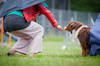 Agility Tunnel