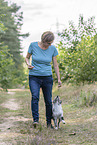 Training mit jungem Miniature Australian Shepherd