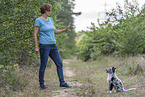 Training mit jungem Miniature Australian Shepherd