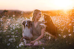 junge Frau mit 2 Miniature Australian Shepherds