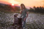 junge Frau mit 2 Miniature Australian Shepherds