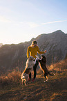 junge Frau mit 2 Miniature Australian Shepherds