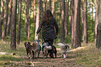 Frau und Miniature Australian Shepherds