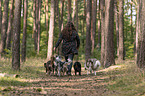 Frau und Miniature Australian Shepherds