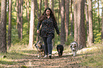 Frau und Miniature Australian Shepherds