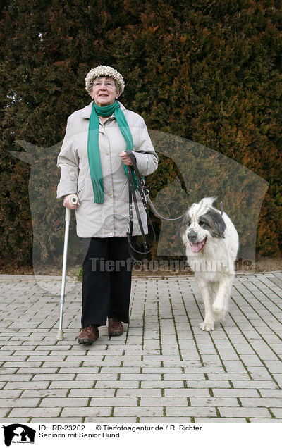Seniorin mit Senior Hund / older woman with old dog / RR-23202